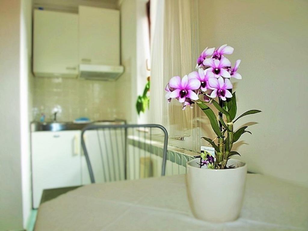 Apartment Koric อิตชิชี ภายนอก รูปภาพ